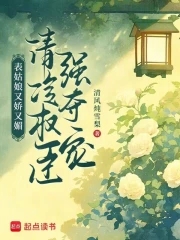 表姑娘系列小说